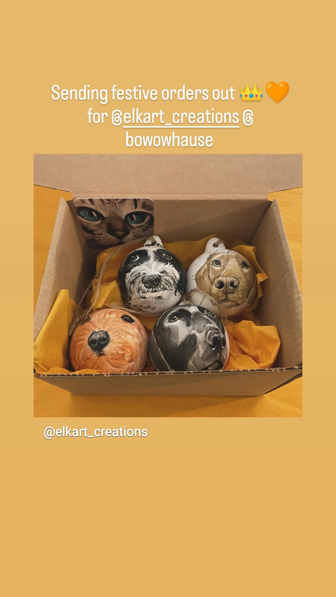 Unique ceramic pet portrait baubles