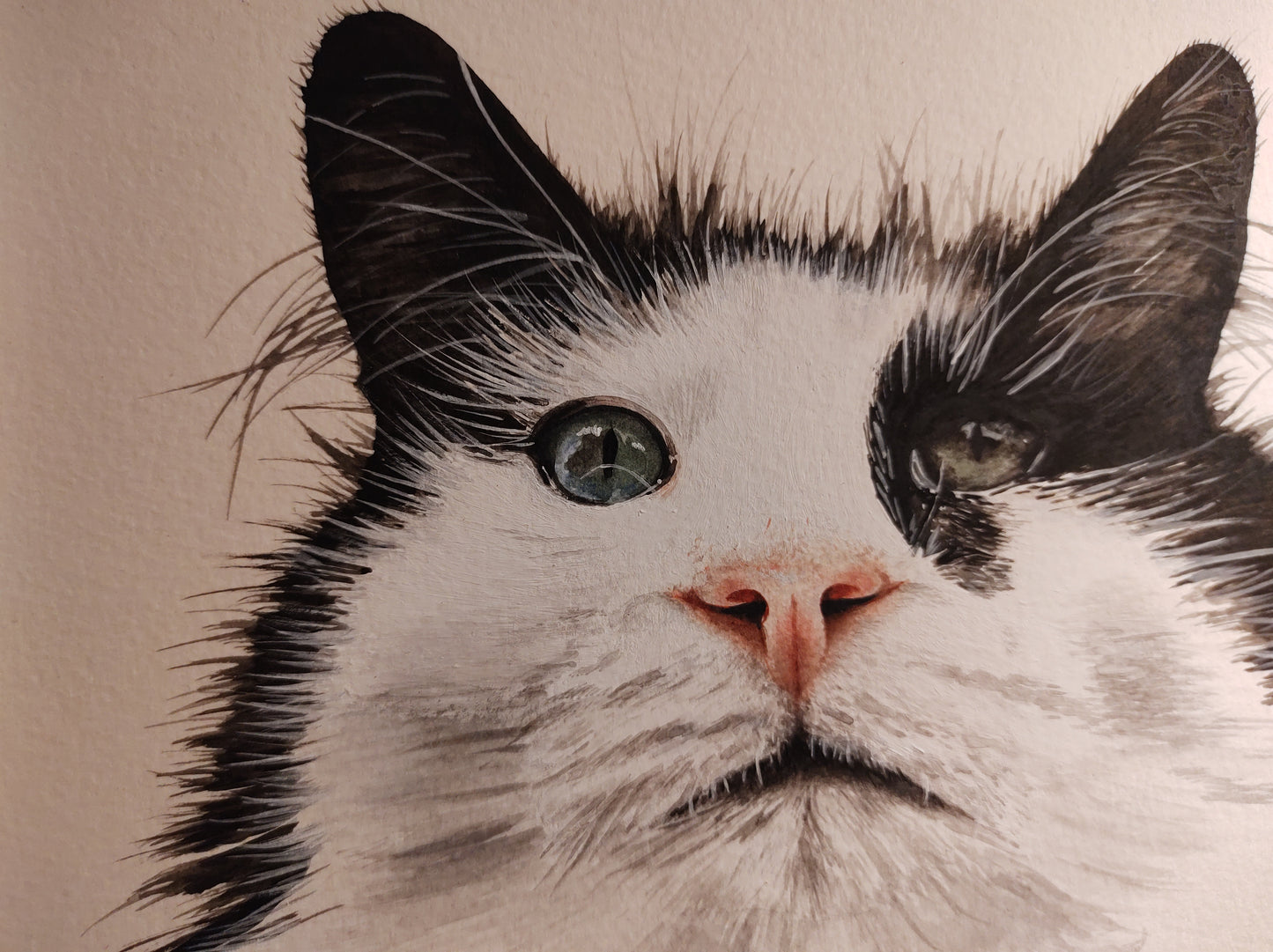 Watercolour pet portrait
