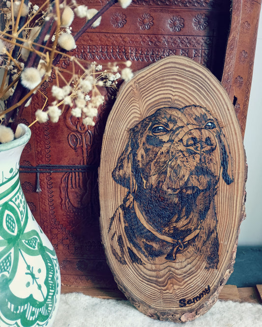 Pyrography pet portrait