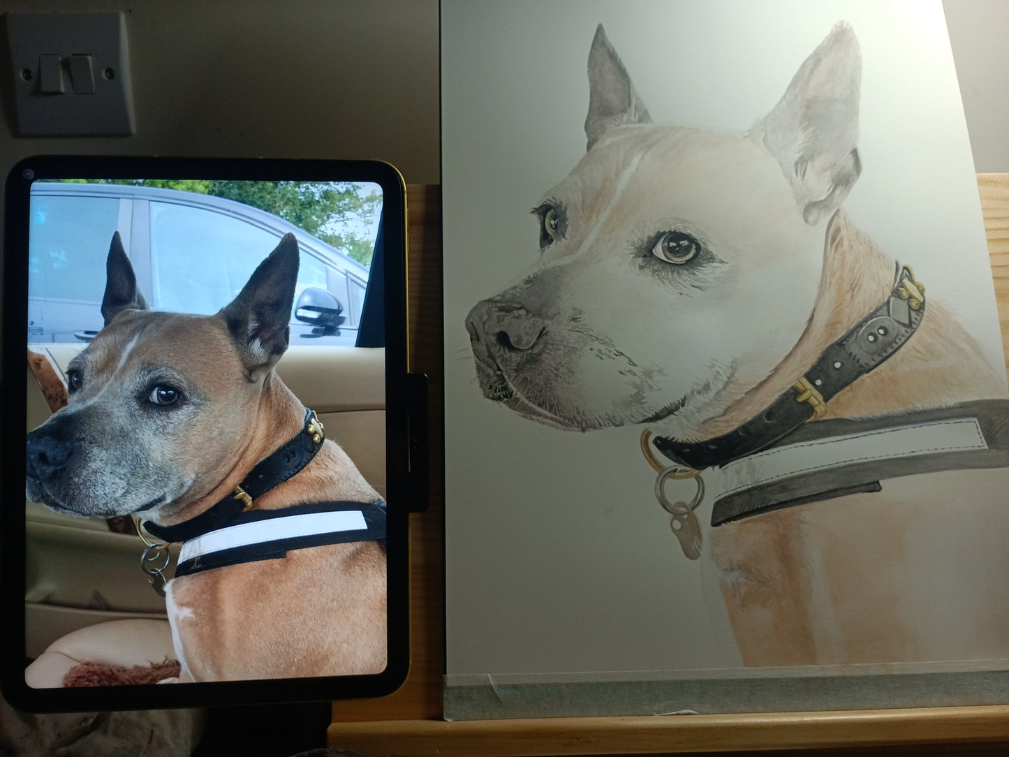 Watercolour pet portrait