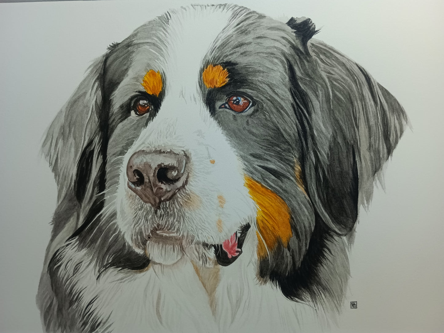 Watercolour pet portrait